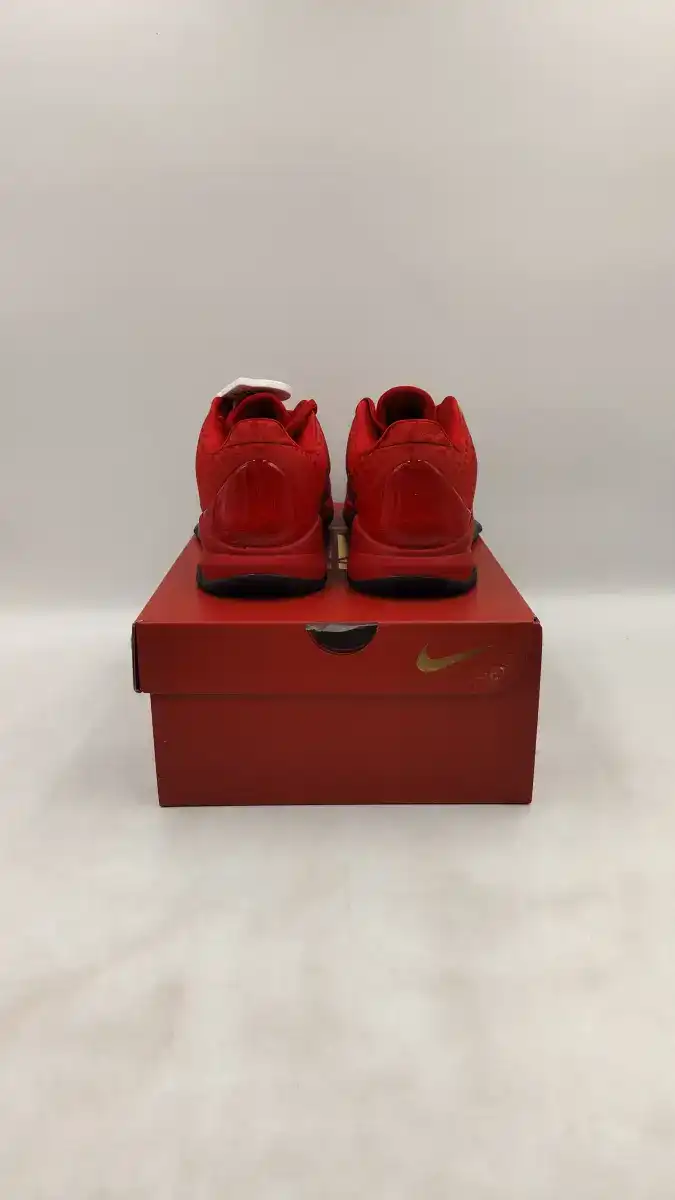 Kobe 5 Protro "Year of the Snake"