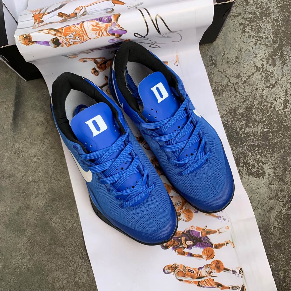 Kobe 8 Protro "Blue Duke"